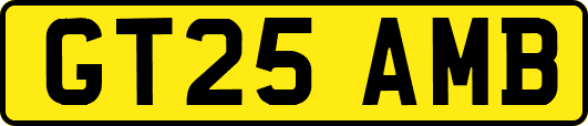 GT25AMB