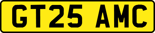 GT25AMC