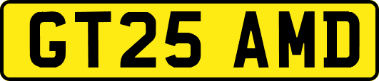 GT25AMD