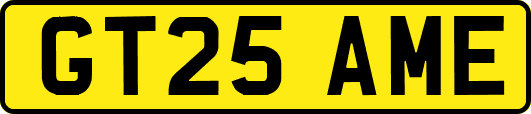 GT25AME