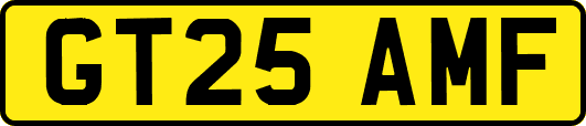 GT25AMF