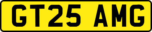GT25AMG