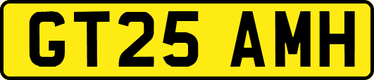 GT25AMH