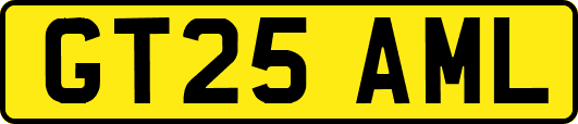 GT25AML