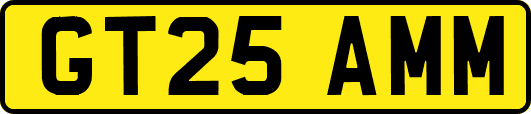GT25AMM