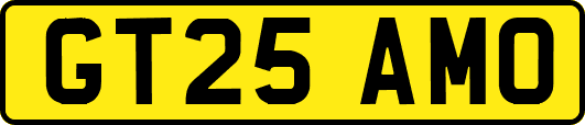 GT25AMO