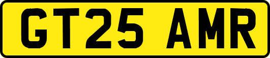 GT25AMR