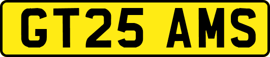 GT25AMS