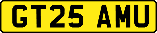 GT25AMU