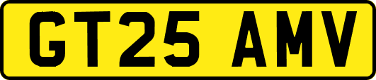 GT25AMV