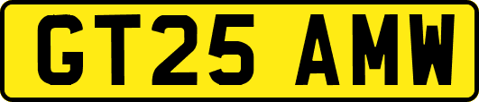 GT25AMW