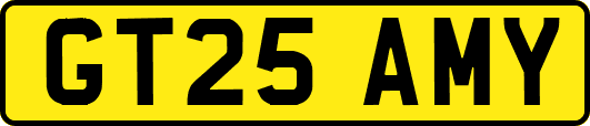GT25AMY