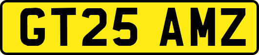 GT25AMZ