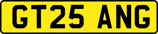 GT25ANG