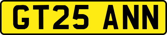 GT25ANN