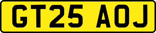 GT25AOJ
