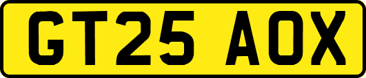 GT25AOX