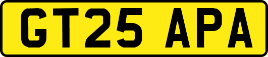 GT25APA
