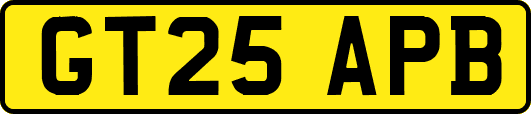 GT25APB