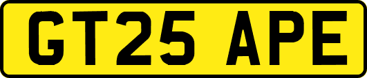 GT25APE