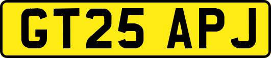 GT25APJ