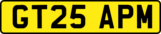 GT25APM