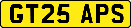 GT25APS
