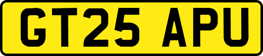 GT25APU
