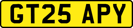 GT25APY