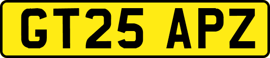 GT25APZ