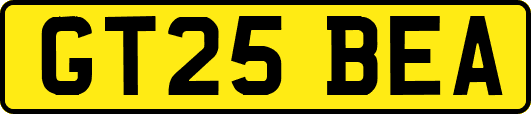 GT25BEA