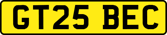 GT25BEC