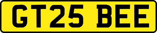 GT25BEE