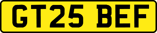 GT25BEF