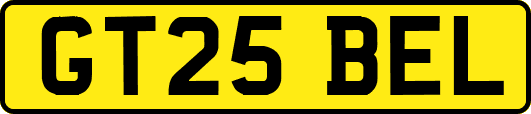 GT25BEL