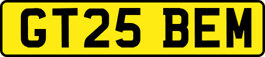 GT25BEM