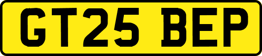 GT25BEP