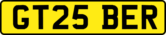 GT25BER
