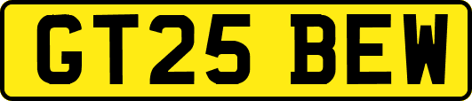 GT25BEW