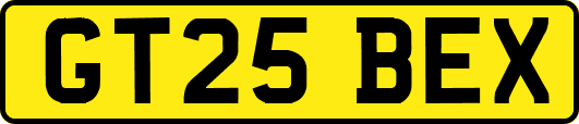 GT25BEX