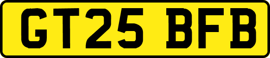 GT25BFB