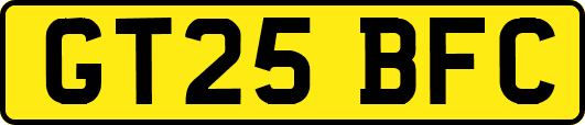 GT25BFC