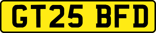 GT25BFD