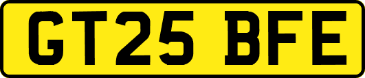GT25BFE