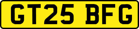 GT25BFG