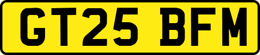 GT25BFM