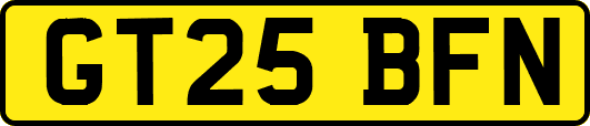 GT25BFN