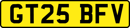 GT25BFV