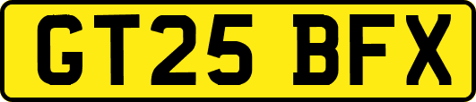 GT25BFX