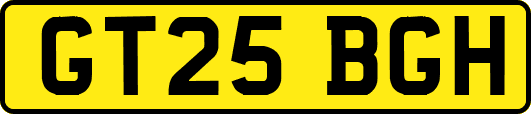 GT25BGH